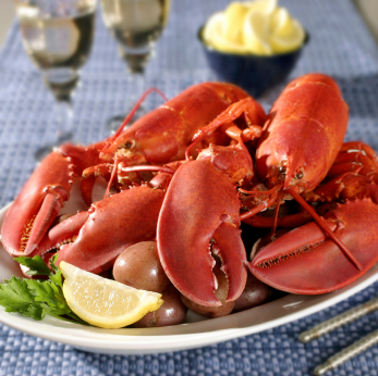 Lobster platter served in fish restaurant, sussex